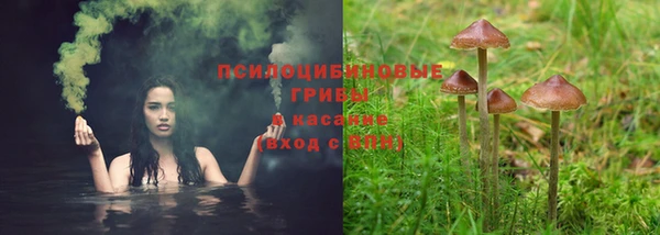 ПСИЛОЦИБИНОВЫЕ ГРИБЫ Алексин