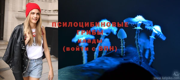 прущие крисы Алзамай
